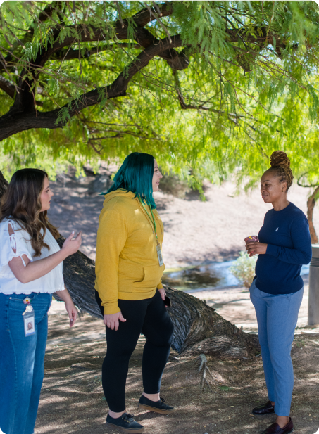 Three people talking under a large tree in a park setting, with sunlight filtering through the leaves. Casual and relaxed atmosphere.